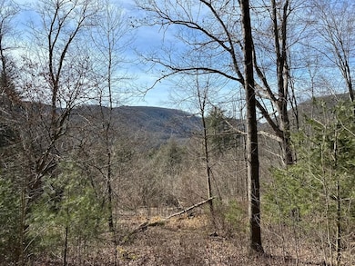 0 Winslow Hill Rd unit 21440465, Benezette, PA 16056 - photo 3