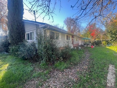 10680 Swede Creek Rd, Palo Cedro, CA 96073 - photo 2