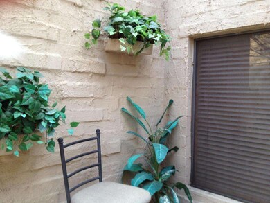 photo 4 (4)
