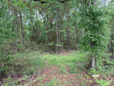 0 Louisiana 438, Franklinton, LA 70438 - photo 2