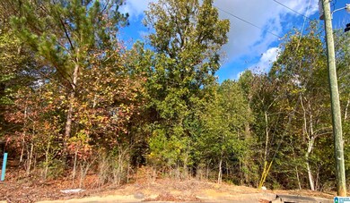 7408 Creek Trace Way unit 404, Bessemer, AL 35022 - photo 5