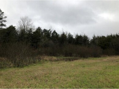 00 Old Tyler Rd, Nacogdoches, TX 75964 - photo 4