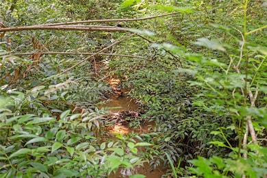 00 Homeland (5 04 Acres) Dr, Mountain  Rest, SC 29664 - photo 5