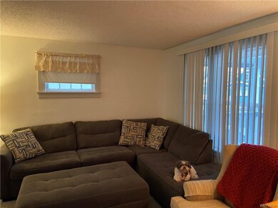 63 Sheffield Ave, Buffalo, NY 14220 - photo 3