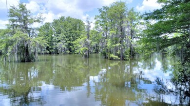 0 Mill Branch Rd, Warwick, GA 31796 - photo 6