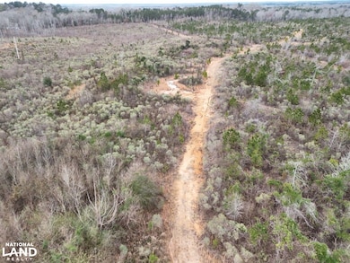 Hwy 13 Morton Ms, Morton, MS 39117 - photo 7