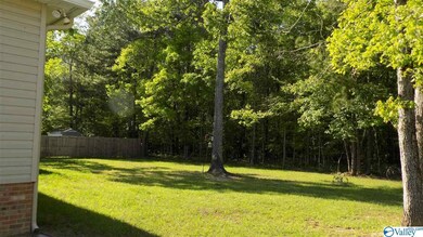 338 Asher Dr, Rainbow City, AL 35906 - photo 3