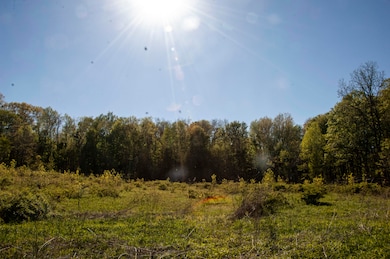 6877 N Nature Ln, Laporte, IN 46350 - photo 7