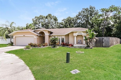 8461 Red Roe Dr, New Port Richey, FL 34653 - photo 2