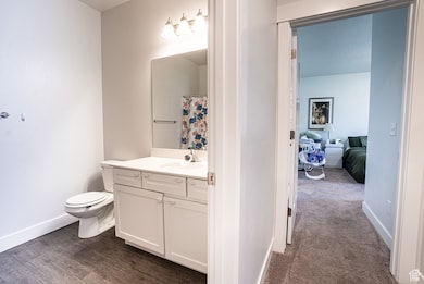 Bathroom with vanity, wood finished floors, and curtained shower