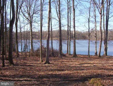 10602 King Eider Ct, Spotsylvania, VA 22553 - photo 5