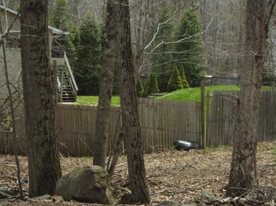 163 aka 23 Diane Ln, Canadensis, PA 18325 - photo 2