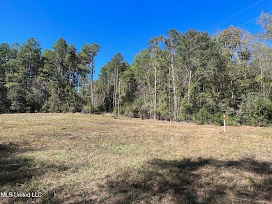 XXX Wa Walker Rd, McComb, MS 39648 - photo 3