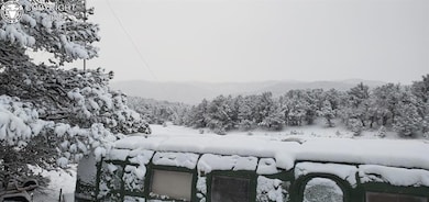 675 Black Gulch Rd, Cotopaxi, CO 81223 - photo 6