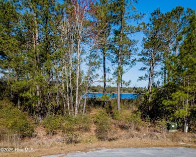 859 Winchester Way, Merritt, NC 28556 - photo 2