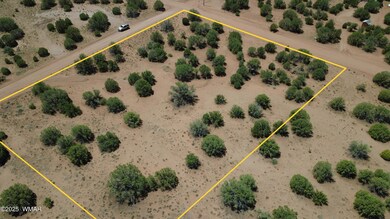 4409 E Pinto Rd, Snowflake, AZ 85937 - photo 6