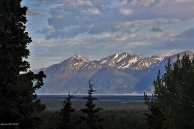 View 5.28.2020