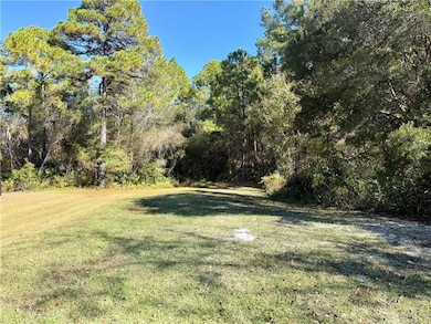 4545 S US Hwy 341, Jesup, GA 31546 - photo 7