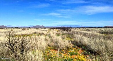 2.52 ACRE on Downing (8)