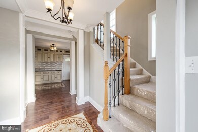 3501 Courtland Dr, Falls Church, VA 22041 - photo 5