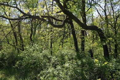 5.5 AC Alpine Rd, Brooklyn, WI 53521 - photo 5