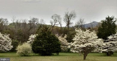 5300 Pond Mountain Rd, Broad Run, VA 20137 - photo 2