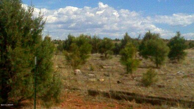 Forest Service View