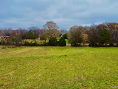 Tract 2 County Road 89, Anderson, AL 35610 - photo 6