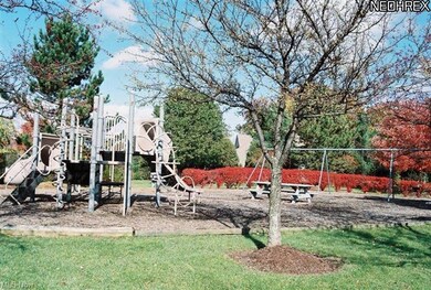 Play Ground