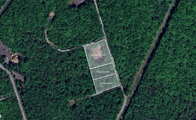 0 Butternut Road & Mahogany Rd, Jim Thorpe, PA 18229 - photo 7