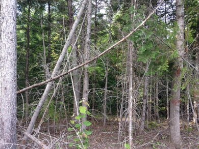 Land/lot