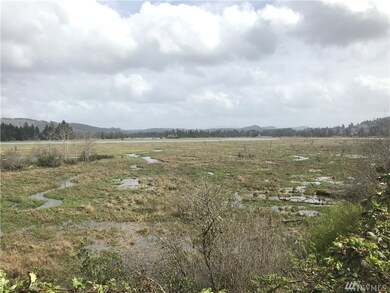 0 14th St & Monohon Landing Rd, Raymond, WA 98577 - photo 3