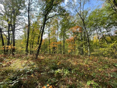 V/L 20A N Woodbridge Dr, Bitely, MI 49309 - photo 4