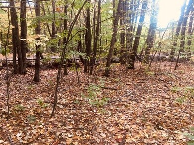 L7 Burley Park Dr, Wakefield, NH 03830 - photo 6