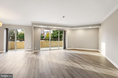 Porto Vecchio unit 116, Alexandria, VA 22314 - photo 4