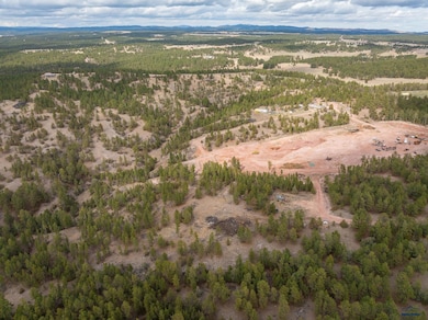 TBD Gravel Pit Loop unit Off of Hwy 89 South, Hot Springs, SD 57747 - photo 5