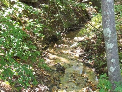Creek on property