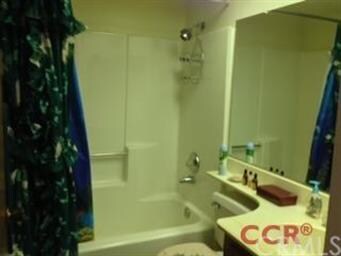 Guest bath on ground floor