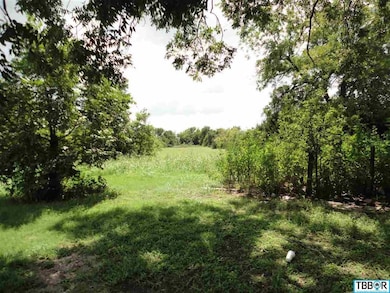 3325 E Adams Ave, Temple, TX 76501 - photo 3