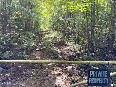 6acres Trentham Rd, Newport, TN 37821 - photo 5