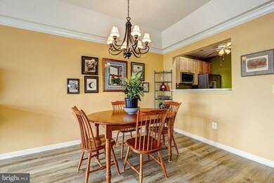 7315 Brookview Rd unit 304, Elkridge, MD 21075 - photo 6