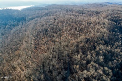 90AC Board Valley Rd, Cookeville, TN 38501 - photo 2