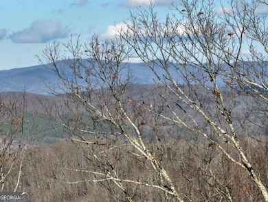 281 Andes Ridge, Ellijay, GA 30536 - photo 6