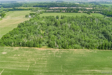 V/L Coleman Rd, Somerset, NY 14012 - photo 7