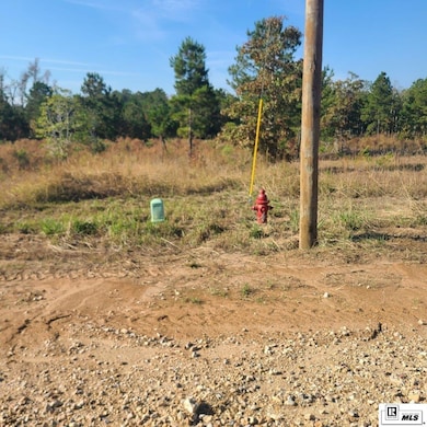 195 Simba Ln, Calhoun, LA 71225 - photo 2