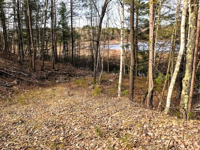 Lots1&19 Whitetailed Deer Dr, Tomahawk, WI 54487 - photo 6