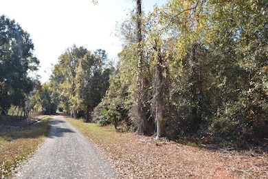 1220 SE US Highway 301 unit LotWP001, Hawthorne, FL 32640 - photo 5