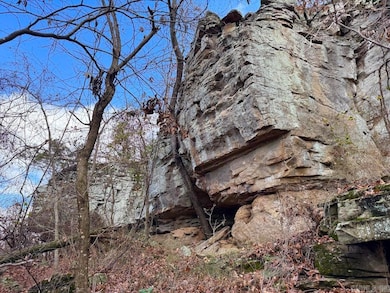 0 Cr 961 Rd unit 25047250, Green Forest, AR 72638 - photo 3