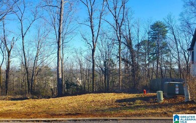 5009 Altamont Rd S unit 10, Birmingham, AL 35222 - photo 4