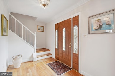 1716 Irvin St, Vienna, VA 22182 - photo 3